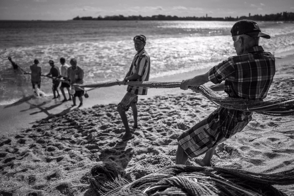 Hauling for Dinner (Leica Q) 